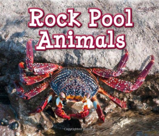 Rock Pool Animals (Animals in Their Habitats) - Sian Smith [KSIĄŻKA]