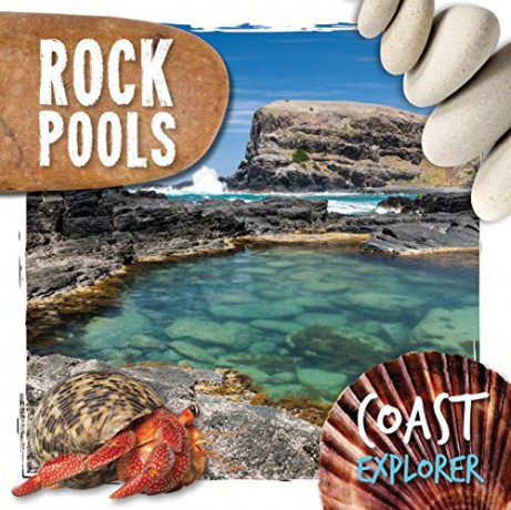 Rock Pools (Coast Explorer) - Robin Twiddy [KSIĄŻKA]