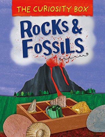 Rocks and Fossils (The Curiosity Box) - Peter Riley [KSIĄŻKA]