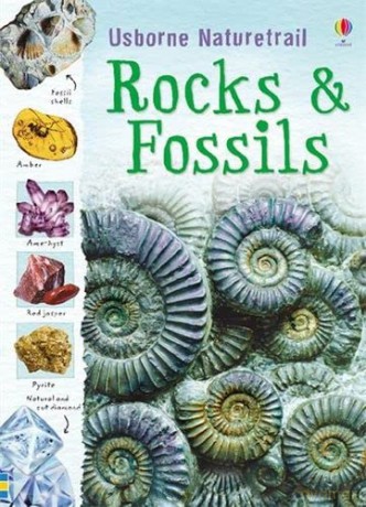 Rocks and Fossils: 1 (Naturetrail) - Struan Reid [KSIĄŻKA]