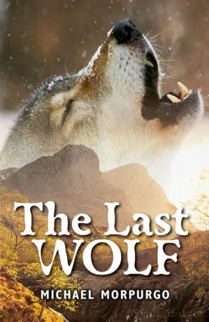 Rollercoasters: The Last Wolf - Michael Morpurgo [KSIĄŻKA]