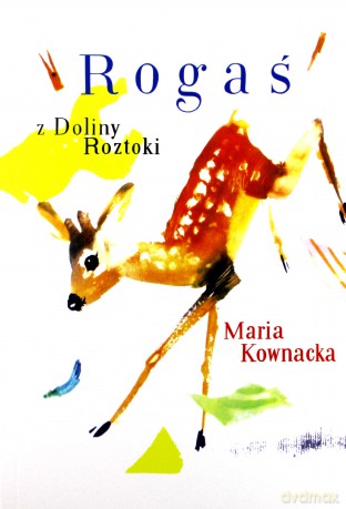 Rogaś z Doliny Roztoki (miękka opr.) [KSIĄŻKA]