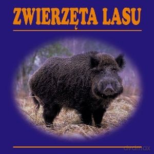 Zwierzęta lasu [KSIĄŻKA]