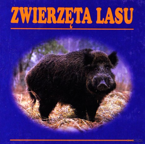 Zwierzęta lasu [KSIĄŻKA]