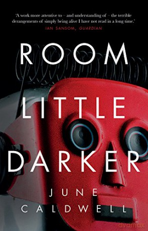 Room Little Darker - June Caldwell [KSIĄŻKA]