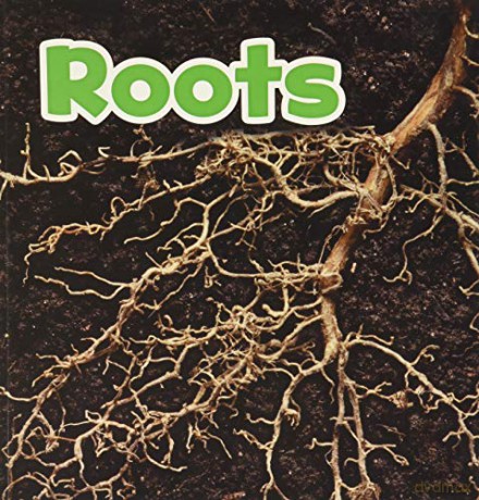 Roots (Plant Parts) - Marissa Kirkman [KSIĄŻKA]