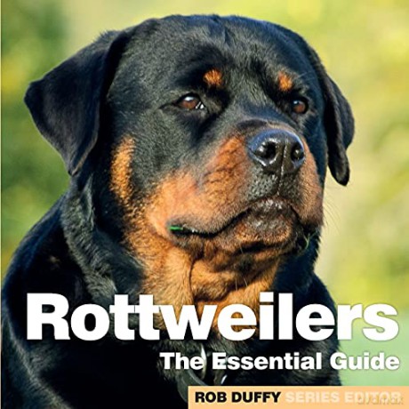 Rottweilers: The Essential Guide - Robert Duffy [KSIĄŻKA]