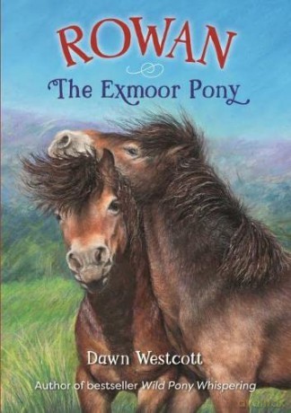 Rowan The Exmoor Pony - Dawn Westcott [KSIĄŻKA]