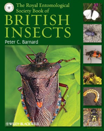 Royal Entomological Society Book of British Insects - Peter C. Barnard [KSIĄŻKA]