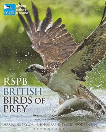 RSPB British Birds of Prey - Marianne Taylor [KSIĄŻKA]