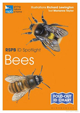 RSPB ID Spotlight - Bees - Marianne Taylor [KSIĄŻKA]