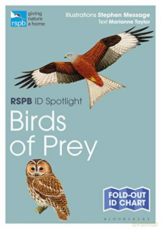 RSPB ID Spotlight - Birds of Prey - Marianne Taylor [KSIĄŻKA]