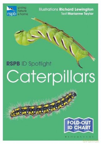 RSPB ID Spotlight - Caterpillars - Marianne Taylor [KSIĄŻKA]