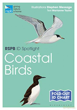 RSPB ID Spotlight - Coastal Birds - Marianne Taylor [KSIĄŻKA]