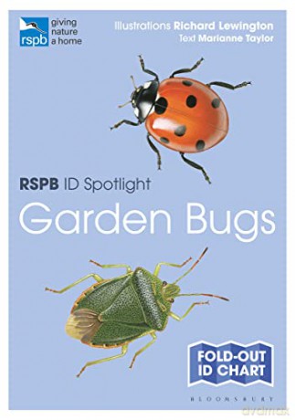 RSPB ID Spotlight - Garden Bugs - Marianne Taylor [KSIĄŻKA]