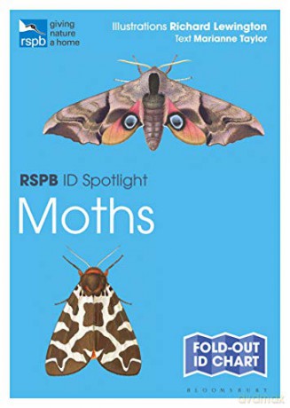 RSPB ID Spotlight - Moths: Fold-out Id Chart - Marianne Taylor [KSIĄŻKA]