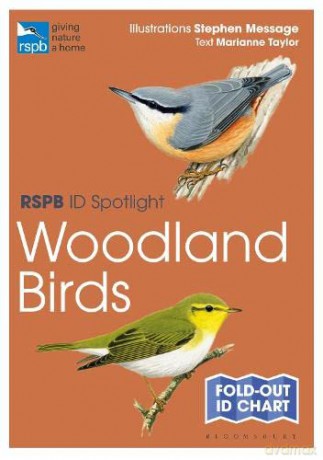RSPB ID Spotlight - Woodland Birds - Marianne Taylor [KSIĄŻKA]