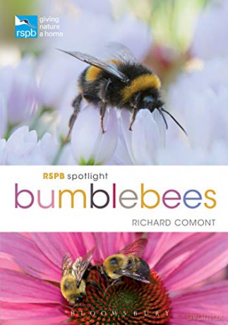 RSPB Spotlight Bumblebees - Richard Comont [KSIĄŻKA]