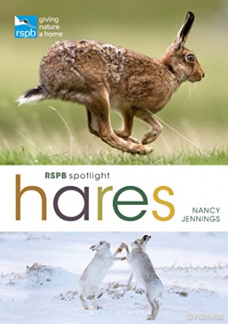 RSPB Spotlight Hares - Nancy Jennings [KSIĄŻKA]