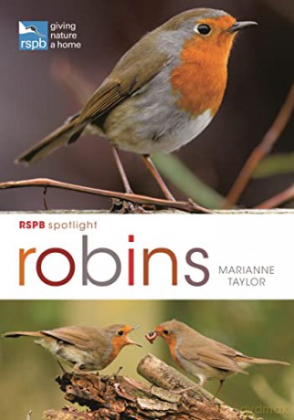 RSPB Spotlight: Robins - Marianne Taylor [KSIĄŻKA]