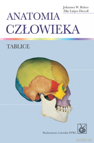 Anatomia człowieka - Tablice - Rohen [KSIĄŻKA]