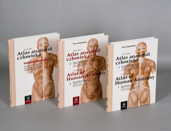 Atlas anatomii człowieka Wolfa-Heideggera - komplet - Kopf-Maier [KSIĄŻKA]