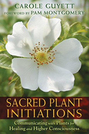 Sacred Plant Initiations: Communicating with Plants for Healing and Higher Consciousness - Carole Guyett [KSIĄŻKA]