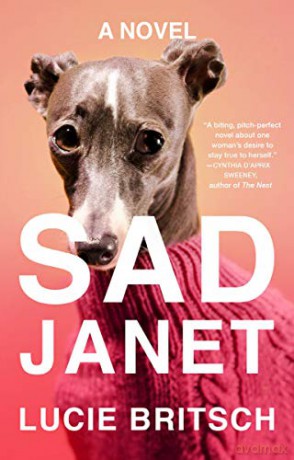 Sad Janet - Lucie Britsch [KSIĄŻKA]