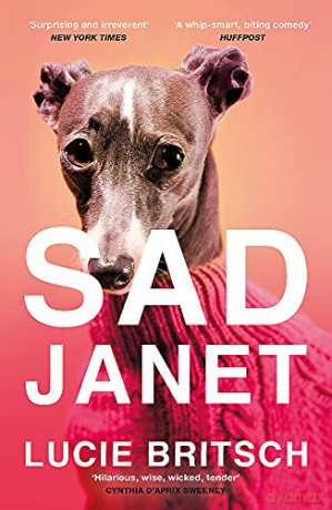 Sad Janet: 'A whip-smart, biting tragicomedy' HuffPost - Lucie Britsch [KSIĄŻKA]