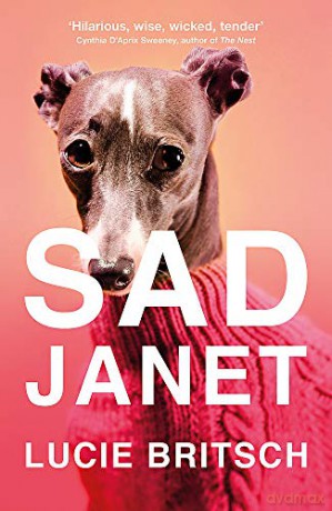 Sad Janet: A darkly hilarious novel about finding happiness in time for Christmas - Lucie Britsch [KSIĄŻKA]
