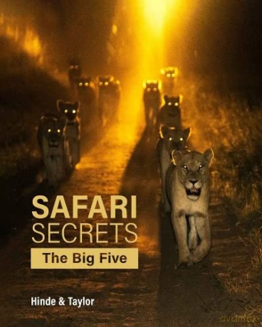 Safari Secrets: The Big Five - Will Taylor [KSIĄŻKA]