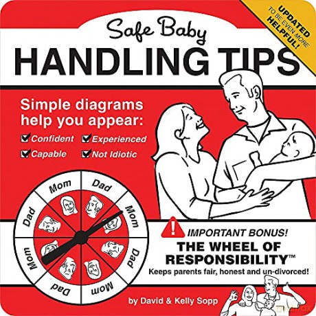 Safe Baby Handling Tips - David Sopp [KSIĄŻKA]