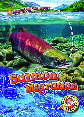 Salmon Migration (Animals on the Move) - Kari Schuetz [KSIĄŻKA]