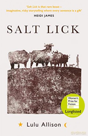 Salt Lick: Longlisted for the Women's Prize for Fiction 2022 - Lulu Allison [KSIĄŻKA]