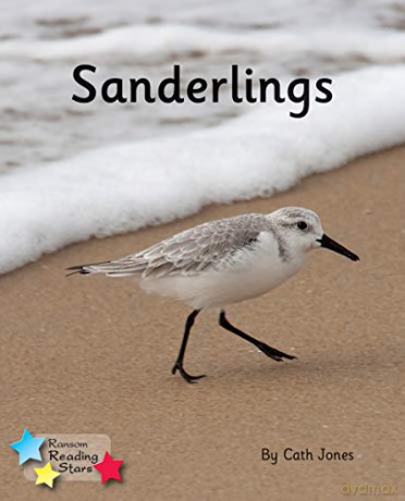Sanderlings: Phonics Phase 4 (Reading Stars Phonics) - Jones Cath [KSIĄŻKA]