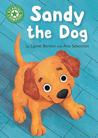 Sandy the Dog: Independent Reading Green 5 (Reading Champion) - Lynne Benton [KSIĄŻKA]