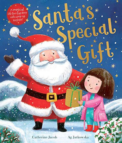 Santa's Special Gift - Catherine Jacob [KSIĄŻKA]