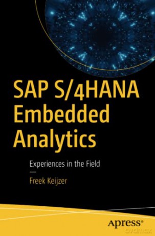 SAP S/4HANA Embedded Analytics: Experiences in the Field - Freek Keijzer [KOMIKS]