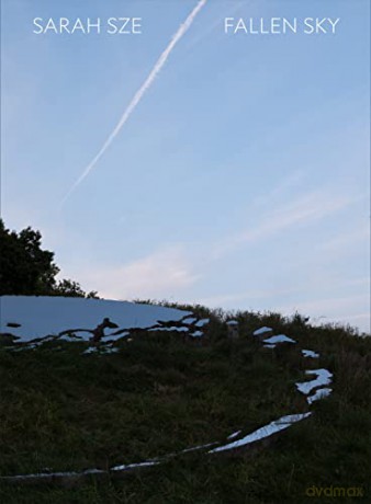 Sarah Sze: Fallen Sky - Nora R Lawrence [KSIĄŻKA]