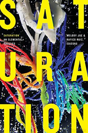 Saturation: An Elemental Politics (Elements) - Rafico Ruiz [KSIĄŻKA]
