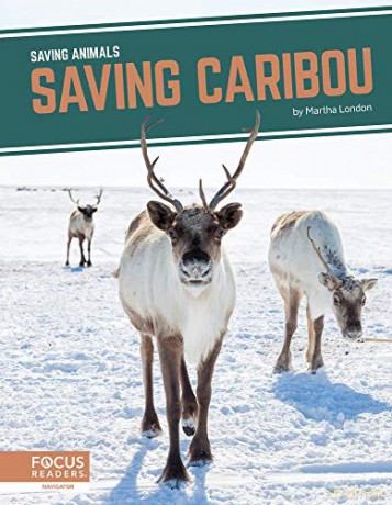 Saving Caribou (9781644933831) - Martha London [KSIĄŻKA]