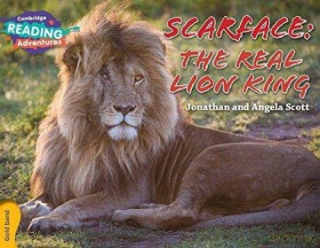 Scarface: The Real Lion King Gold Band (Cambridge Reading Adventures) - Jonathan and Angela Scott [KSIĄŻKA]