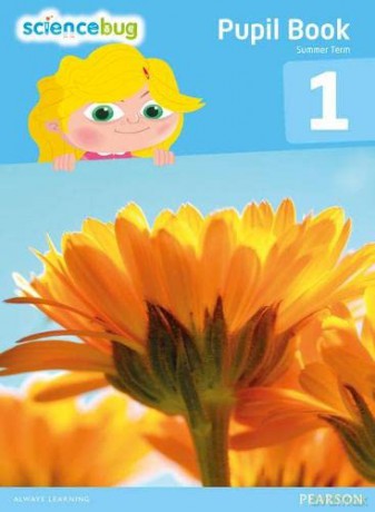 Science Bug Pupil Book Year 1 - Debbie Eccles [KSIĄŻKA]