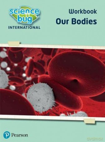 Science Bug: Our bodies Workbook - Debbie Eccles [KSIĄŻKA]