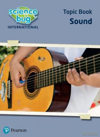 Science Bug: Sound Workbook - Debbie Eccles [KSIĄŻKA]