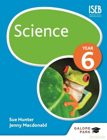 Science Year 6 - Sue Hunter [KSIĄŻKA]