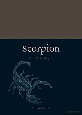 Scorpion (Animal) - Louise M. Pryke [KSIĄŻKA]