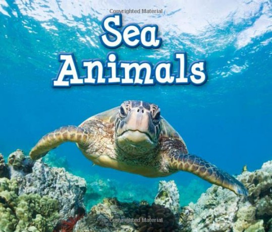 Sea Animals (Animals in Their Habitats) - Sian Smith [KSIĄŻKA]