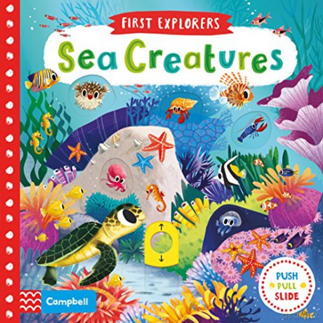 Sea Creatures (Campbell First Explorers, 2) - Chorkung [KSIĄŻKA]