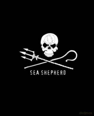 Sea Shepherd: 40 Years: The Official Book - David Hance [KSIĄŻKA]